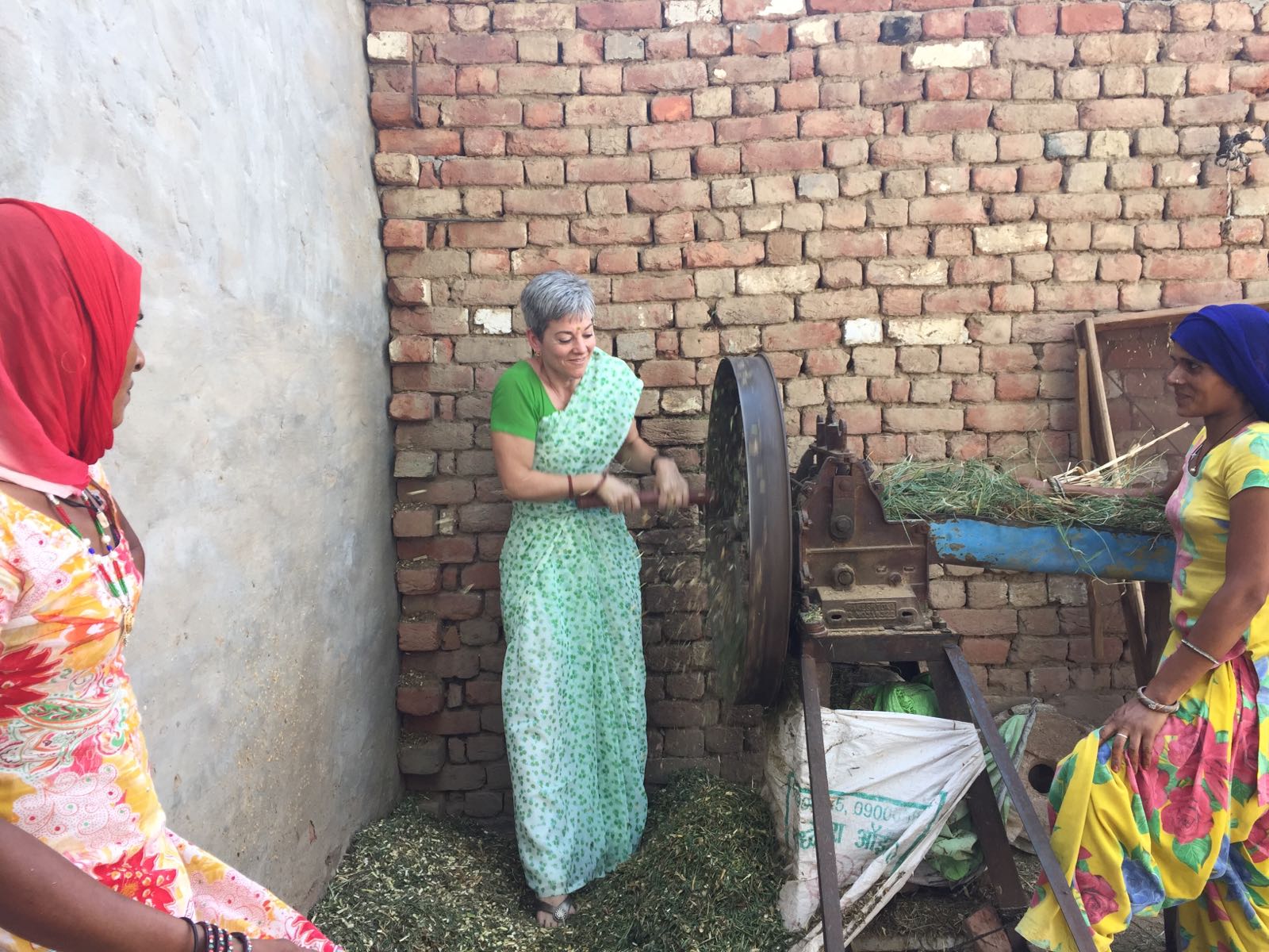 Rajasthan old research